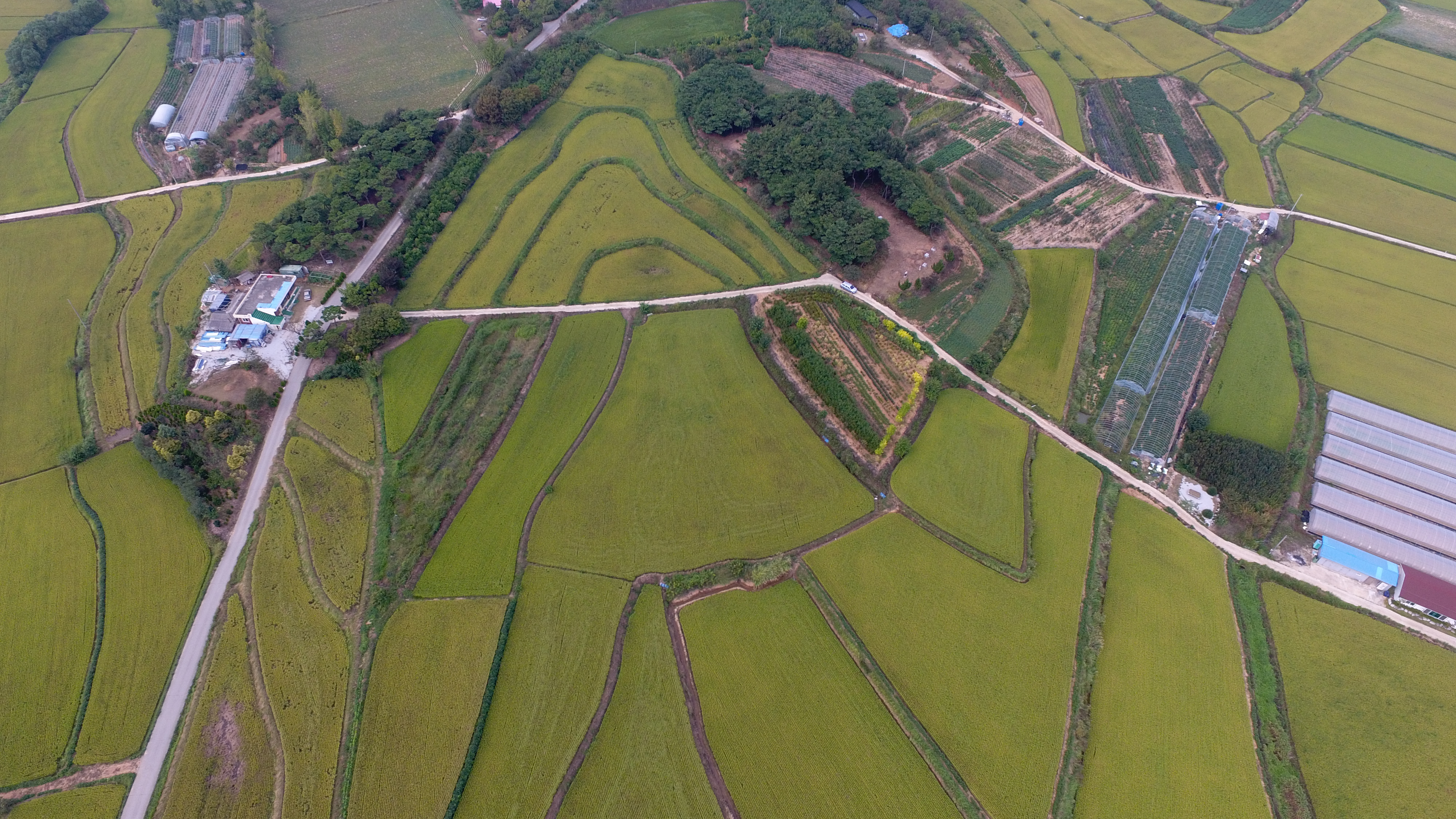 삼기 밭 드론 사진