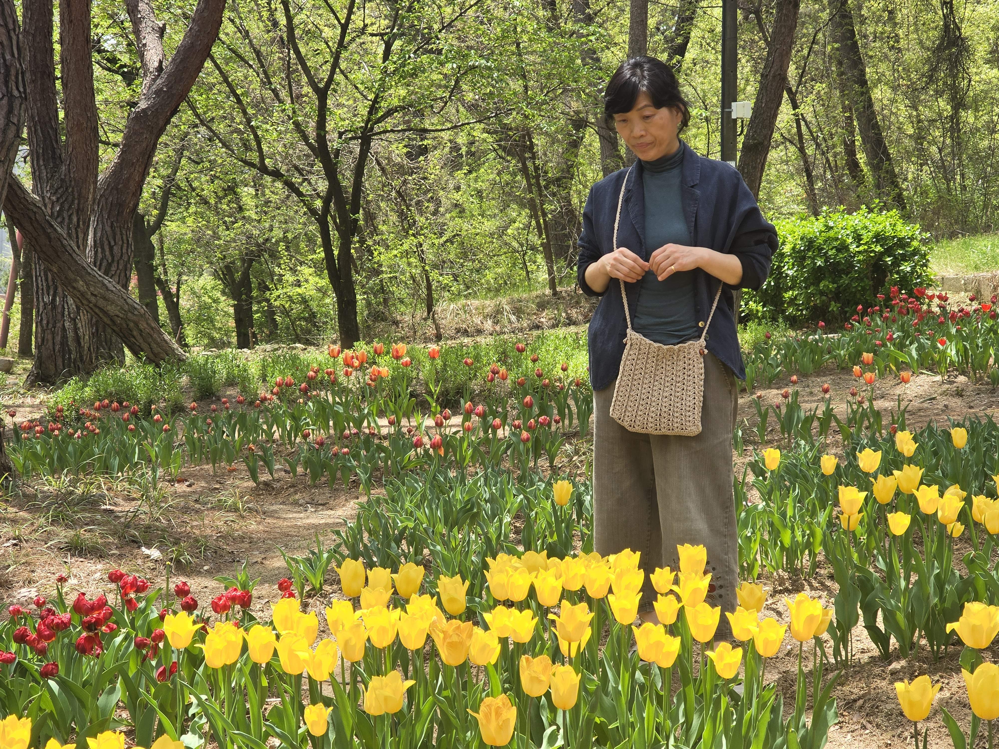 이미지 미리보기