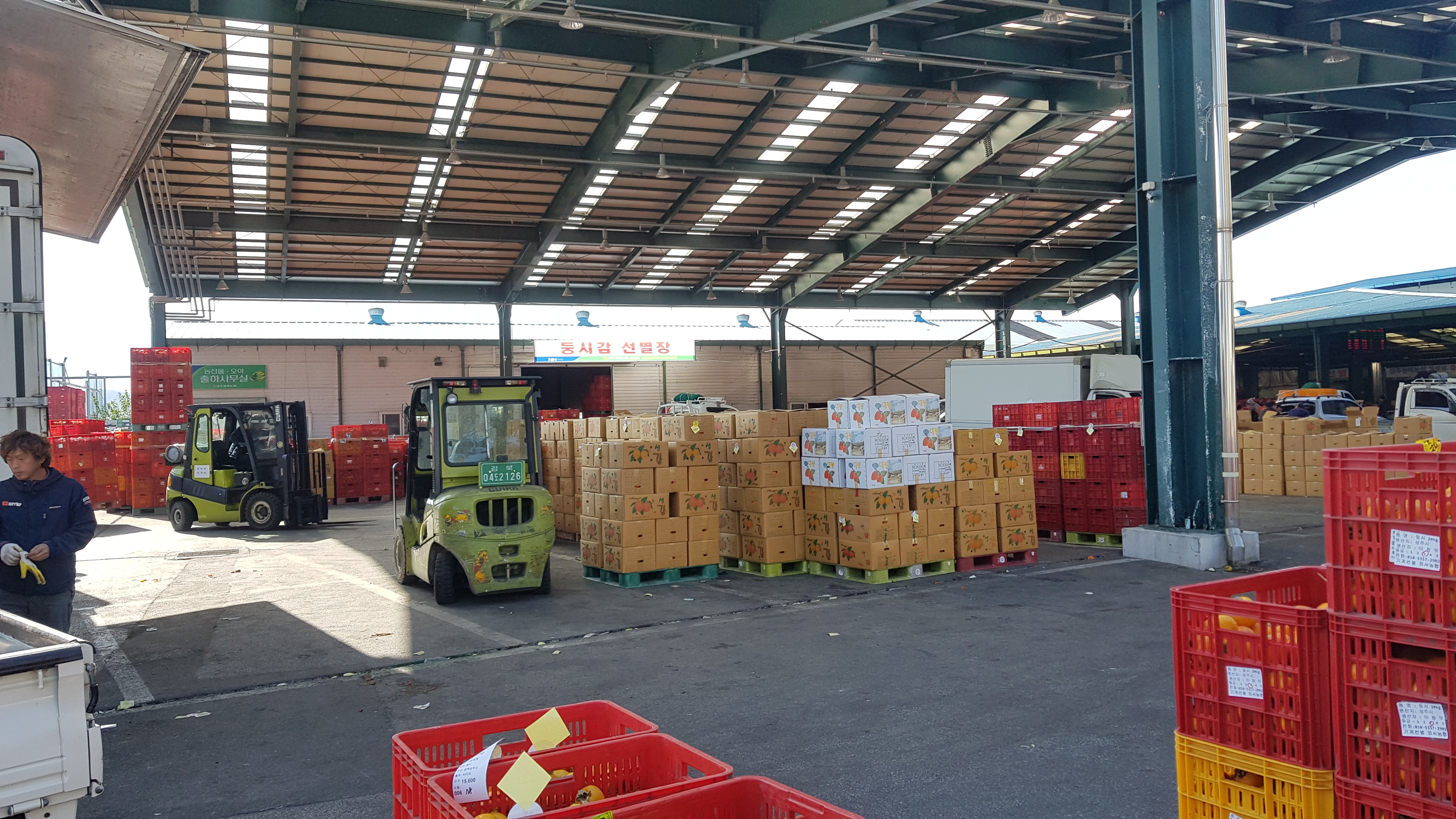 이미지 미리보기